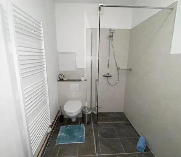 International 6 Бад-Гарцбург