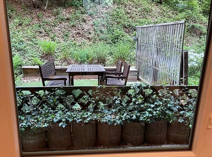 Апартаменты International 6